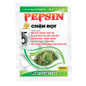 OTA CHẶN ĐỌT PEPSIN