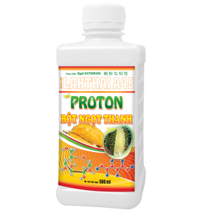 PROTON