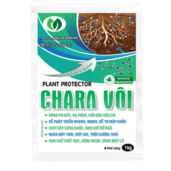 CHARA VÔI