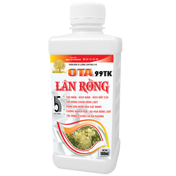 OTA LÂN RỒNG
